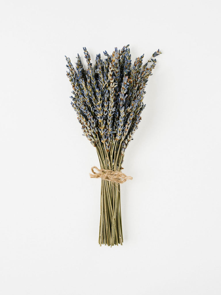 know the rose dried flowers australia | dried lavender bunch