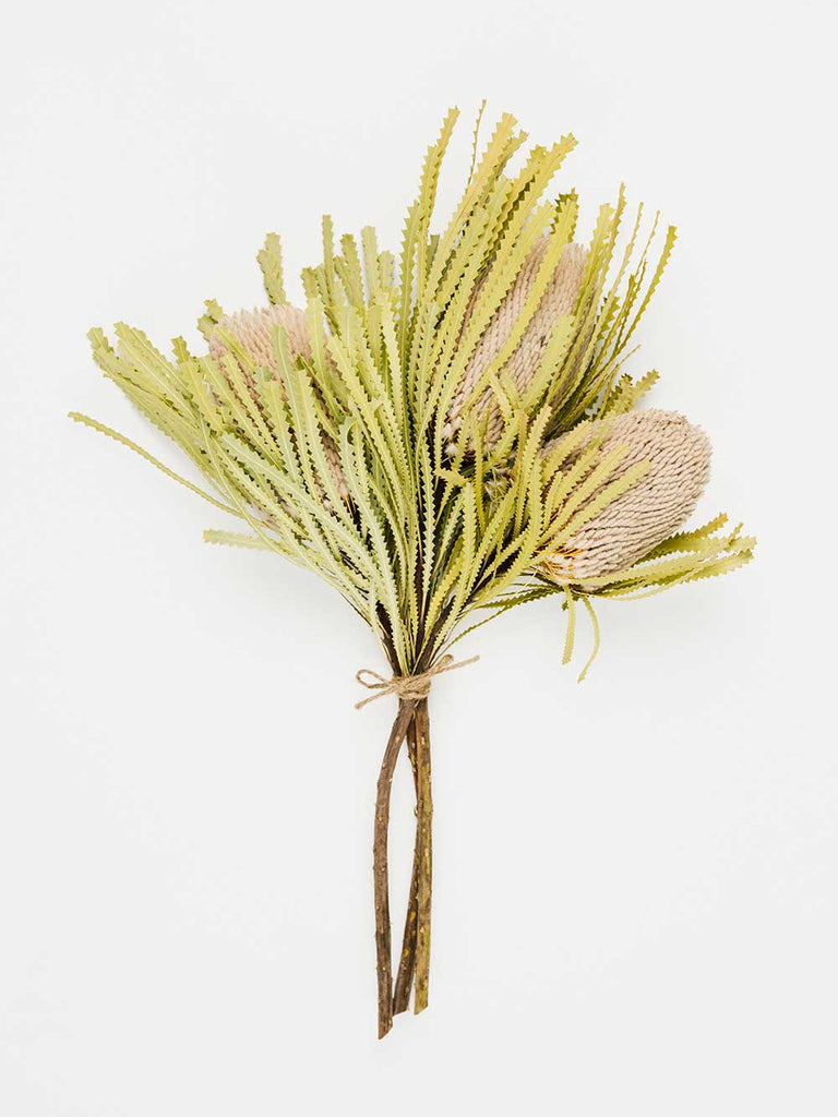 know the rose dried flowers australia native banksia