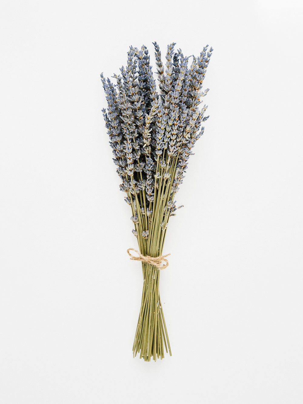 Dried lavender Bunches