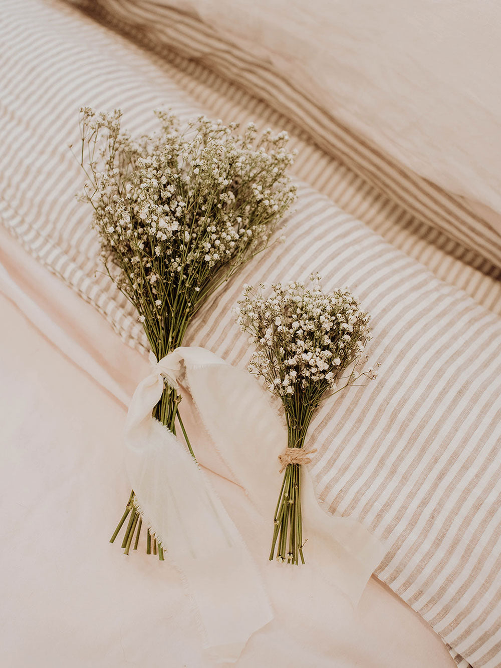 Know the Rose  Dried Baby's Breath Bunch