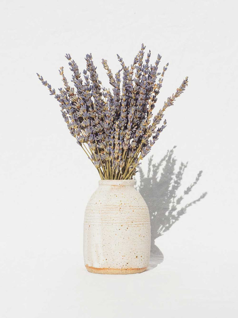 know the rose dried flowers australia lavender bunch